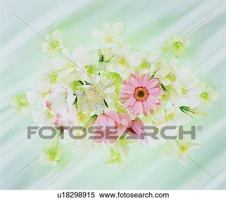 Stock Photography - Flower Arrangement. Fotosearch