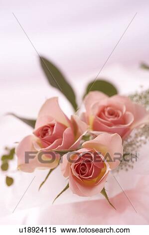 Stock Photography - Flower arrangement. Fotosearch
