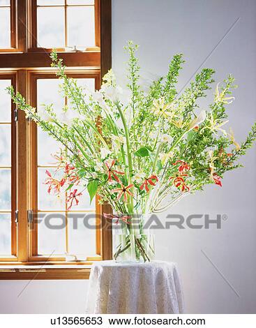 Stock Image - Flower by the Windows. Fotosearch