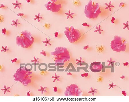 Stock Photo - Flower pattern. Fotosearch