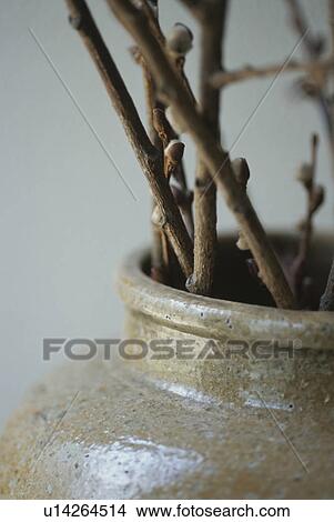 Picture - Flower vase and stalks. Fotosearch