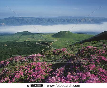 Stock Image - Flowering landscape and Komezuka volcano, Aso, Kumamoto Prefecture, Japan. Fotosearch