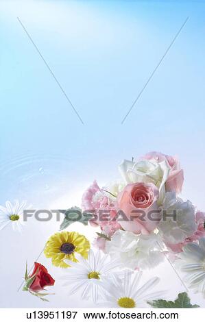 Stock Photo - Flowers floating on water. Fotosearch