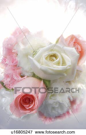 Flowers floating on water View Large Photo Image Stock Photo - Flowers floating on water. Fotosearch