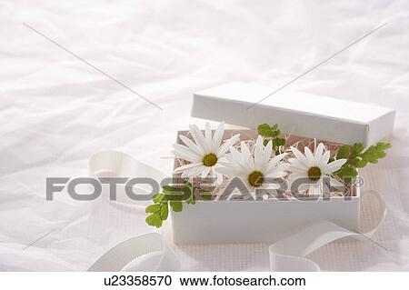 Stock Image - Flowers in a box. Fotosearch