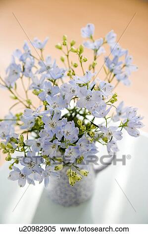 Stock Photography - Flowers in a jug. Fotosearch