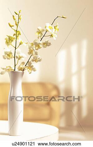 Stock Image - Flowers in a white vase. Fotosearch