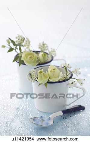Flowers in coffee cups View Large Photo Image Picture - Flowers in coffee cups. Fotosearch