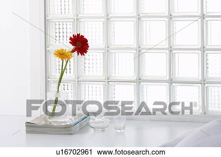 Flowers in front of glass bricks View Large Photo Image Stock Image - Flowers in front of glass bricks. Fotosearch