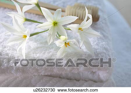 Stock Image - Flowers on a folded towel. Fotosearch