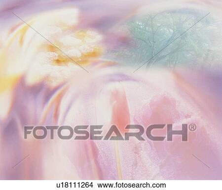 Flowers View Large Photo Image Picture - Flowers. Fotosearch