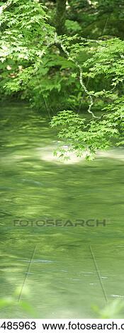Stock Image - Flowing river. Oirase, Aomori Prefecture, Japan. Fotosearch