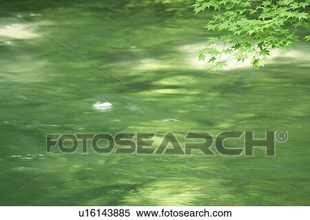 Stock Photography - Flowing river. Oirase, Aomori Prefecture, Japan. Fotosearch