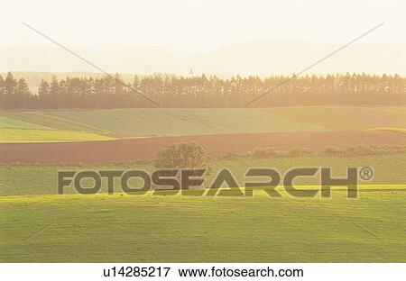 Fog drifting over fields View Large Photo Image Stock Photo - Fog drifting over fields. Fotosearch