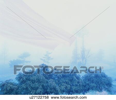 Stock Photo - Fog obscuring woods. Fotosearch