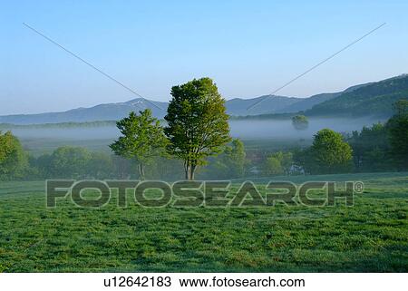 Fog over farm in morning View Large Photo Image Stock Image - Fog over farm in morning. Fotosearch