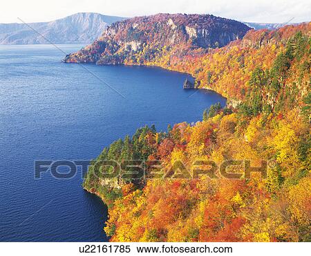 Forest next to lake during Autumn, Sakurajima, Kagoshima, Kagoshima Prefecture, Japan View Large Photo Image Stock Photography - Forest next to lake during Autumn, Sakurajima, Kagoshima, Kagoshima Prefecture, Japan. Fotosearch
