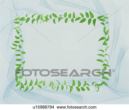Frame made of leaves View Large Photo Image Picture - Frame made of leaves. Fotosearch