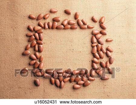 Frame of acorns View Large Photo Image Stock Image - Frame of acorns. Fotosearch