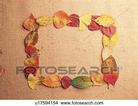 Picture - Frame of Autumn leaves. Fotosearch