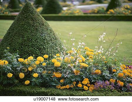 Stock Photo - Garden with flowers. Fotosearch