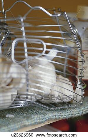 Garlic in wire basket View Large Photo Image Stock Image - Garlic in wire basket. Fotosearch