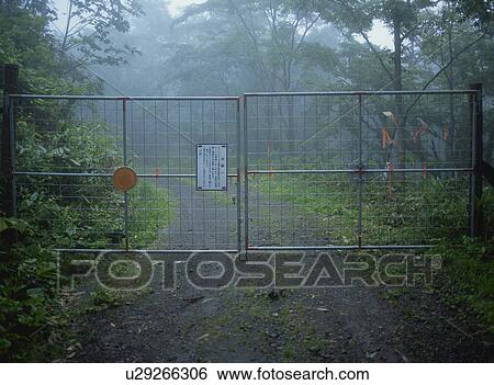 Stock Photograph - Gate in a forest to protect Hokkaido Sika deer, Shari-machi, Hokkaido, Japan. Fotosearch