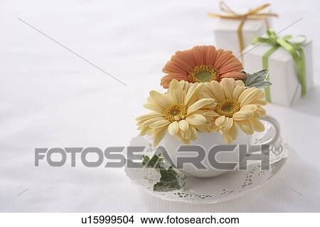 Picture - Gerberas and gifts. Fotosearch