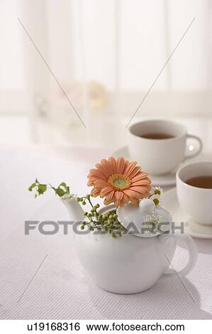 Stock Photograph - Gerberas in a teapot. Fotosearch