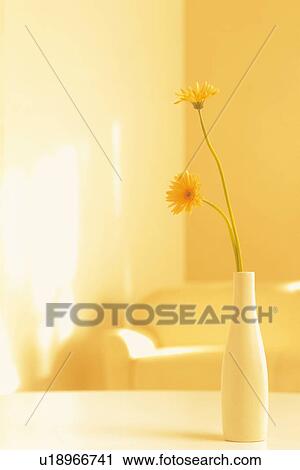 Gerberas in a vase View Large Photo Image Stock Image - Gerberas in a vase. Fotosearch