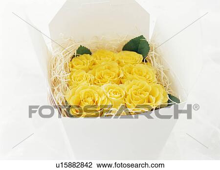 Stock Image - Gift box of yellow roses. Fotosearch