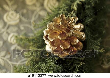 Golden pine cone View Large Photo Image Stock Photo - Golden pine cone. Fotosearch