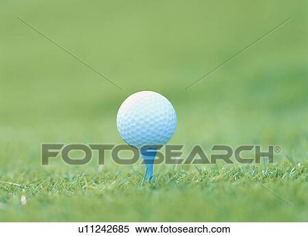 Golf ball on a tee View Large Photo Image Stock Photography - Golf ball on a tee. Fotosearch