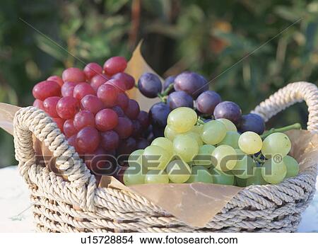 Picture - Grapes in a basket. Fotosearch