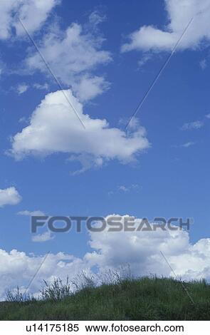 Stock Photography - Grass against sky with clouds. Mt Yatsugatake, Yamanashi Prefecture, Japan. Fotosearch