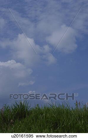 Stock Photography - Grass against sky with clouds. Mt Yatsugatake, Yamanashi Prefecture, Japan. Fotosearch
