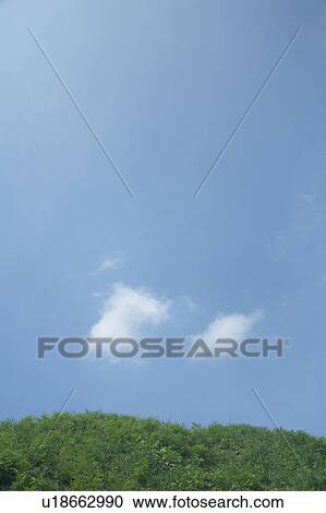 Stock Image - Grass in field and sky. Fotosearch