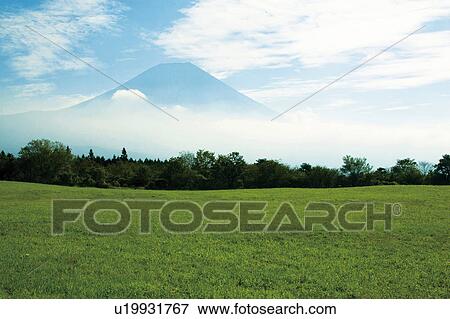 Stock Photo - Grasslands and Mt. Fuji, Fujinomiya, Shizuoka Prefecture, Japan. Fotosearch