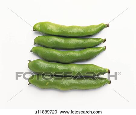 Green beans View Large Photo Image Stock Image - Green beans. Fotosearch