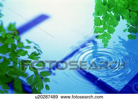 Stock Photo - Green leafy branches and rippled water over a pen and diary. Fotosearch