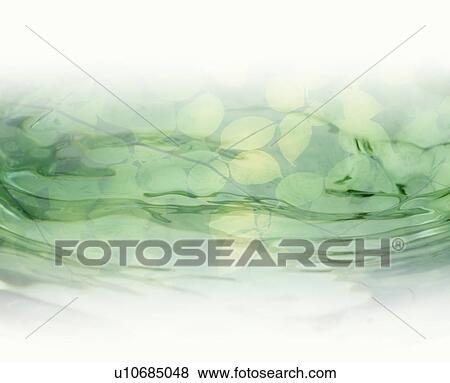 Stock Photo - Green leaves under rippling water. Fotosearch