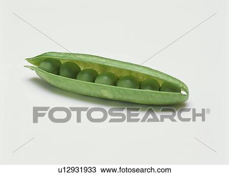 Green peas in a pod View Large Photo Image Stock Image - Green peas in a pod. Fotosearch