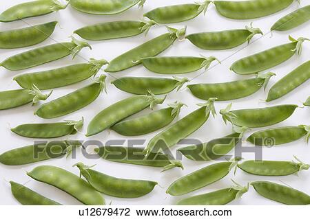 Green peas in pods View Large Photo Image Stock Image - Green peas in pods. Fotosearch