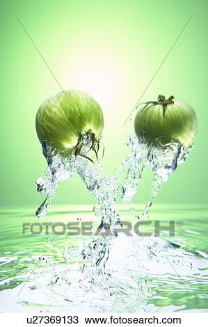 Green tomatoes jumping out of water View Large Photo Image Stock Image - Green tomatoes jumping out of water. Fotosearch
