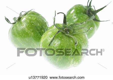 Green tomatoes, white background View Large Photo Image Stock Image - Green tomatoes, white background. Fotosearch
