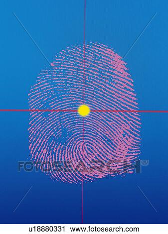 Stock Image - Grid over a fingerprint. Fotosearch
