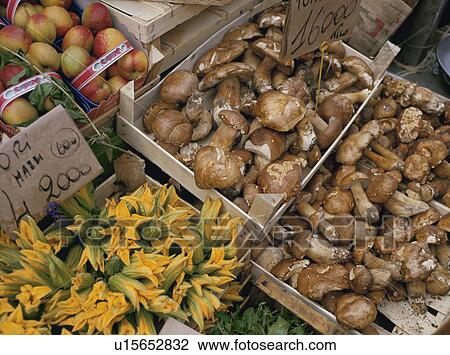 Grocer's stand selling fruit and mushrooms View Large Photo Image Stock Image - Grocer's stand selling fruit and mushrooms. Fotosearch