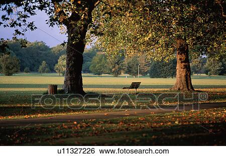 Stock Photograph - Hagley Park in Autumn, Christchurch, South Island, New Zealand. Fotosearch