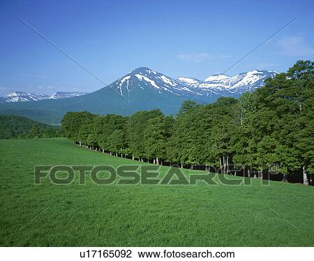 Hakkoda mountains, Aomori Prefecture, Honshu, Japan View Large Photo Image Stock Image - Hakkoda mountains, Aomori Prefecture, Honshu, Japan. Fotosearch