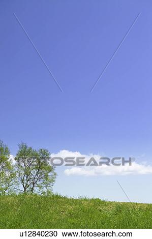 Stock Image - Hill with trees. Fotosearch